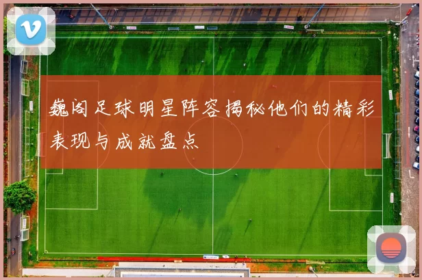 巍阁足球明星阵容揭秘他们的精彩表现与成就盘点