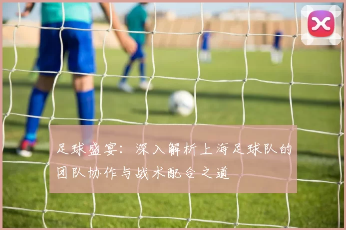 足球盛宴：深入解析上海足球队的团队协作与战术配合之道